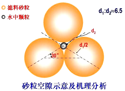 砂?？障妒疽饧皺C理分析